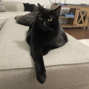 Meet your Posher, Lindsey